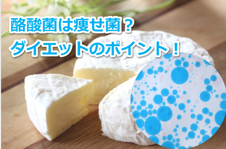 酪酸菌が痩せ菌と言われる理由は？ダイエットのポイント