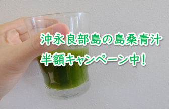 島桑青汁の半額モニターキャンペーン中！沖永良部島の長寿の秘訣