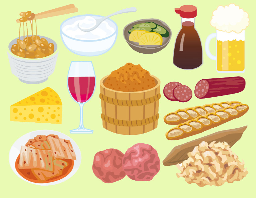 「発酵」「醗酵」「はっ酵」「腐敗」の違いが一瞬でわかる解説