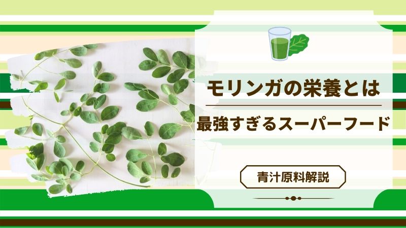 青汁原料「モリンガ」が凄すぎ！栄養面なら最強か？