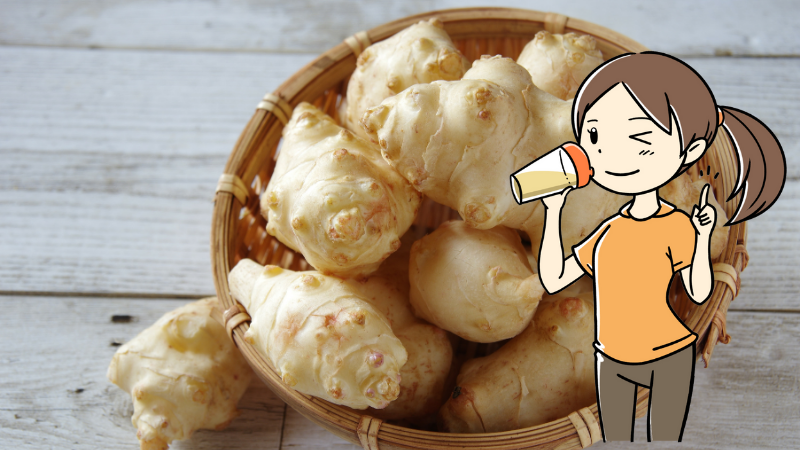 菊芋は糖だけでなく中性脂肪やコレステロールにも効果があるエビデンス