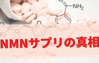 NMNサプリメントなんて効果なしというか高すぎると思う