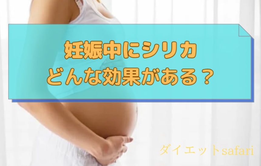 妊娠中にシリカを摂取して良かった。妊娠線・胎児の成長